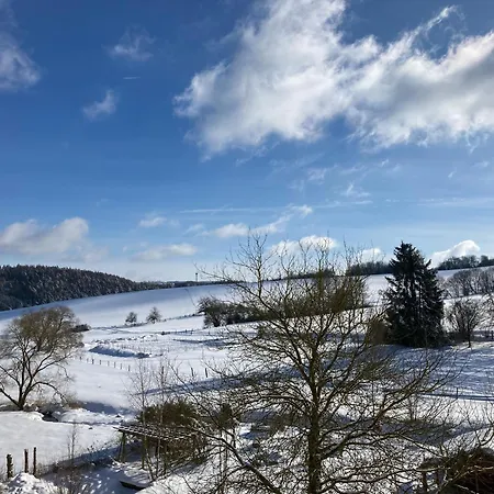 Grosse Ferienwohnung Auf Pferdehof Mitten In Der Natur Schwarzenborn Buitenkant foto