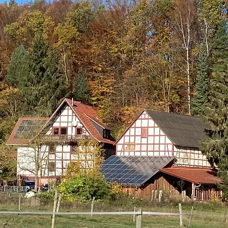Grosse Ferienwohnung Auf Pferdehof Mitten In Der Natur Schwarzenborn Buitenkant foto