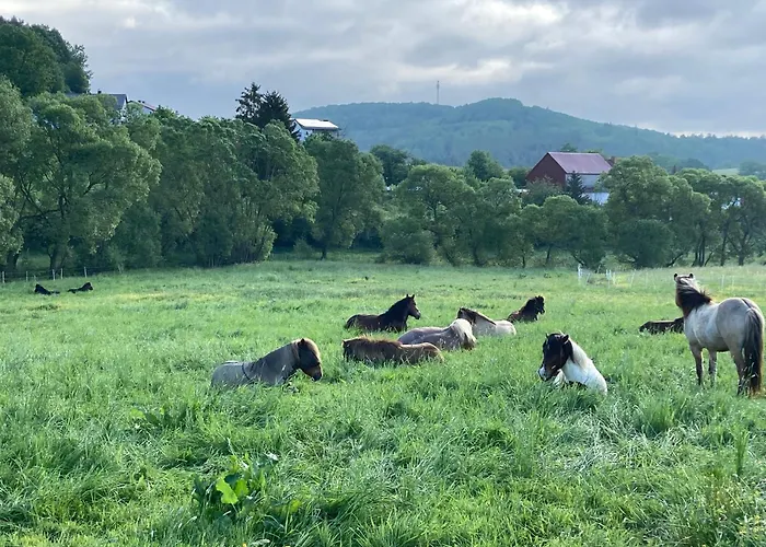 Grosse Ferienwohnung Auf Pferdehof Mitten In Der Natur